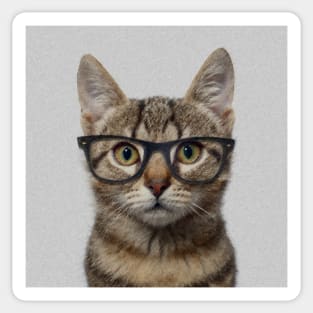 Hipster Cat Sticker